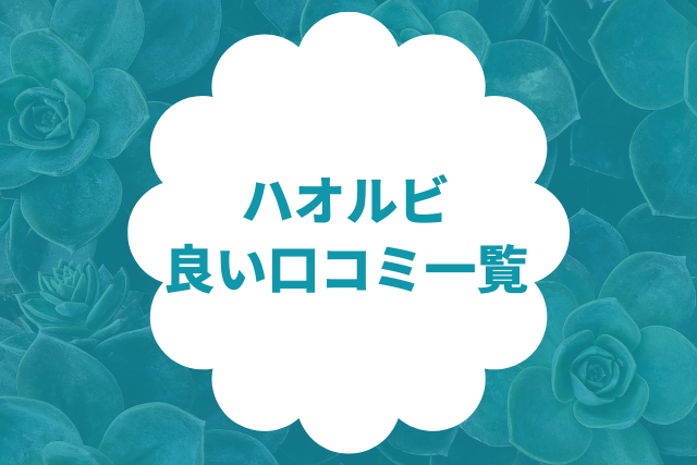 ハオルビの良い口コミ