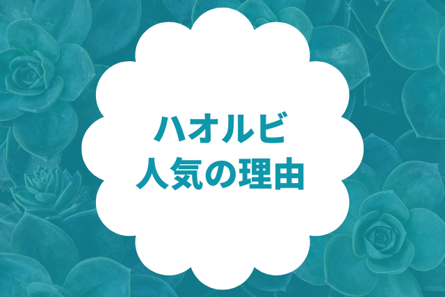 ハオルビの悪い・良い口コミ