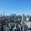 東京でジェントルマックスプロがおすすめのクリニック